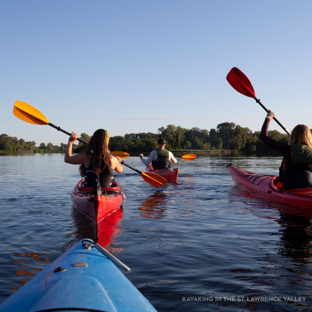 People kayaking on a river
