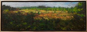 Bloomingdale Bog Fall | Stephen Horne