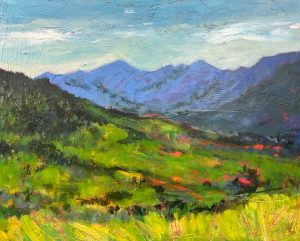 High Peaks Skyline | Holly Friesen