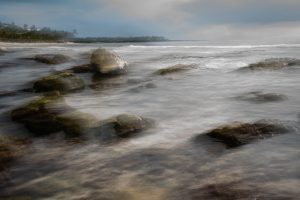 Surf | Jeff Berry