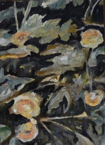 Spatterdock
